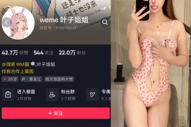 抖音 叶子姐姐 微密圈  NO.008期 【36P4V】