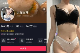 抖音 大猫女孩 微密圈  NO.011期 【8P】最新至：2023.7.19