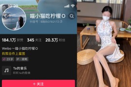 抖音 喵小猫吃柠檬 微密圈  NO.004期 【98P2V】