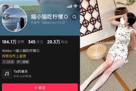 抖音 喵小猫吃柠檬 微密圈  NO.005期 【102P3V】